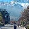 Tachalita profil fotoğrafı