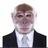 Profilbild von macaquitoshow