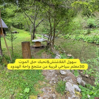 hamed9955's profile picture