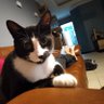 RTSussi profil fotoğrafı