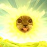 aihihihihi's profile picture
