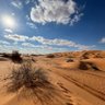 Фото профиля 🇸🇦N