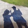 Profilbild von キャラバンP