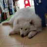 naver nee profil fotoğrafı