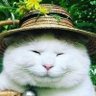 Profilbild von ♨あさのひでき