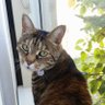 Profilbild von Steve