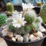 Фото профиля ป้อม