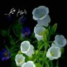 Aasma Rafiq's profile picture