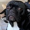 Profilbild von Frank
