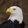 John's profile picture