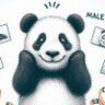 Profilbild von Panda Controversial
