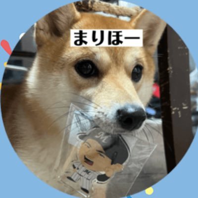 シ バ 🐕🐾's profile picture