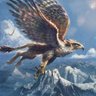 Profilbild von Bürküt 🦅