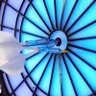 NAOYA's profile picture