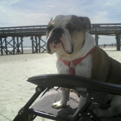 John Luciew's profile picture