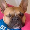 Ewnet's profile picture