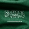 محمد بن زهير's profile picture