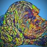 P Sowles's profile picture