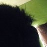 alx comet n' go's profile picture