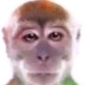 hode profil fotoğrafı