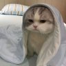Abhi's profile picture