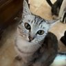 remahan profil fotoğrafı