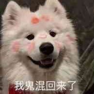 Xiexiny56167221's profile picture