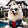 SaoulMatt - Champion mon frere !!!❤️💙's profile picture