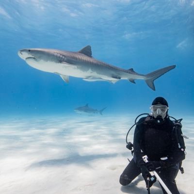 SaltwaterlifeUK's profile picture