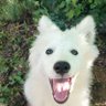Miloske83 profil fotoฤrafฤฑ