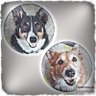 CorgiMom 的头像