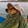 damiannn💤 profil fotoğrafı