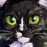 Profilbild von Salty