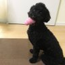 のり's profile picture