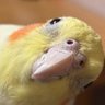 Фото профиля みちぽんず