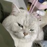 Dikawaki profil fotoğrafı