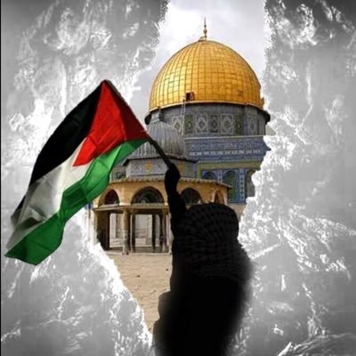 7amadbinbreek's profile picture