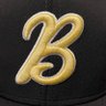 Фото профиля Midwest Beast Gold
