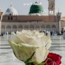 مشاعل الخليج الحسن مول profil fotoğrafı