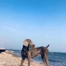 ken tu profil fotoğrafı