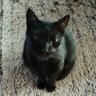 こま3です profil fotoğrafı