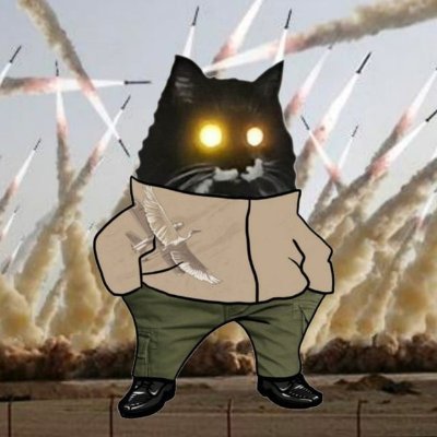 ne_vluchiv's profile picture