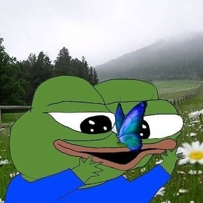 PepesFanGirl's profile picture