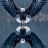 الحياة اسرار's profile picture