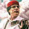 mohammed mansur's profile picture