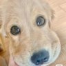 Profilbild von 哈哈哈