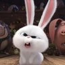 Profilbild von bunE