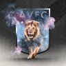 COYL❤️💙🦁's profile picture