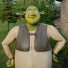 Ferhan's profile picture