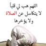 Mahmoud Mohamed's profile picture